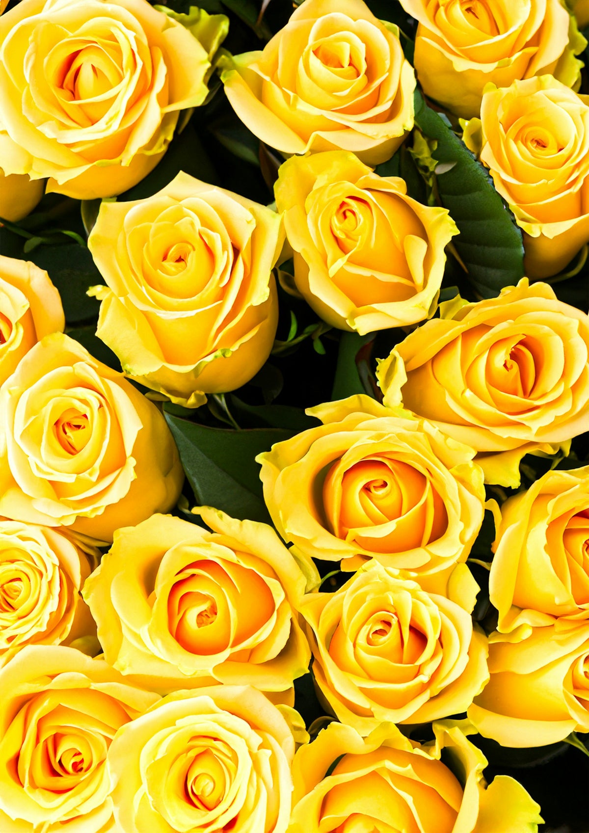 The Sunshine Joy rose bouquet